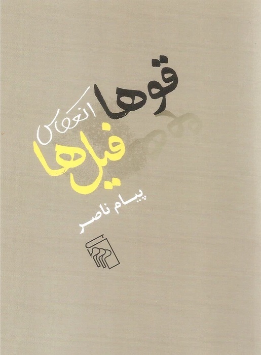 کتاب قوها انعکاس فیل ها Swans Reflection of Elephants