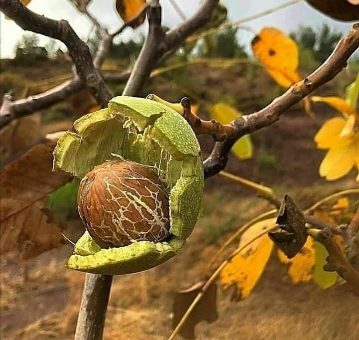 روز جهانی مشاور و روانشناس را به فعالان حوزه سلامت روان تبریک عرض می نماییم.