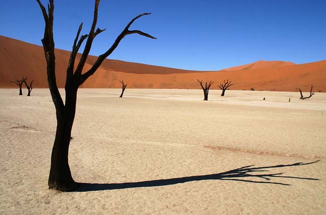 اصلاح الگوی مصرف و روش صحیح دوش گرفتن 